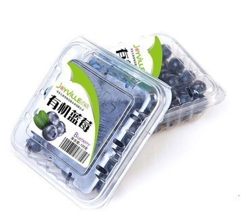 शीर्ष लेबलिंग मशीन चिपकने वाला लेबल एप्लिकेटर वैकल्पिक कोडिंग मशीन