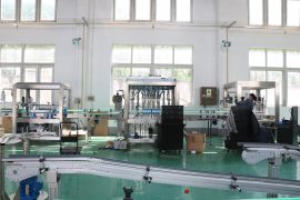 फैक्टरी देखें